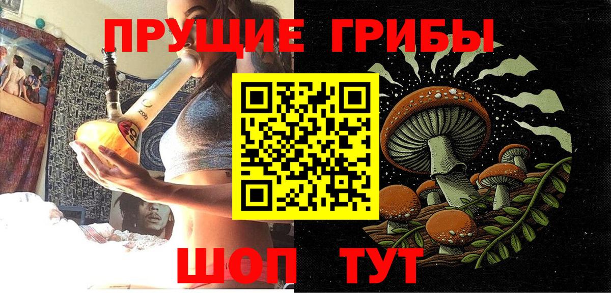 Галлюциногенные грибы прущие грибы Абинск