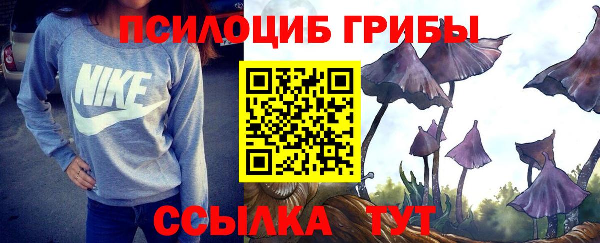 Галлюциногенные грибы Psilocybe  Вход с VPN  Псилоцибиновые грибы Magic Shrooms  Абинск 