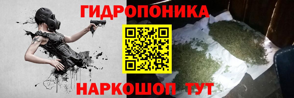 Бошки марихуана план  Конопля White Widow  Конопля VHQ  Вход с VPN  Бошки марихуана тримм  Абинск 